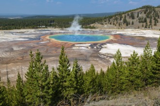 180823_004 Grand Prismatic Spring in the Midway Geyser Basin of Yellowstone National Park, Wyoming