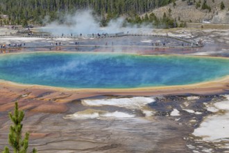 180823_011 Park visitors on observation boardwalk get close up view of the Grand Prismatic Spring