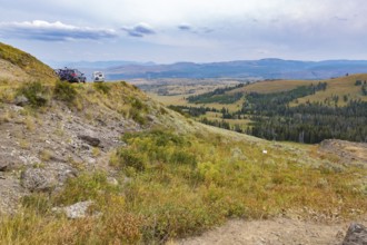 180822_011 Grand Loop Road - North Loop between Canyon Village and Tower-Roosevelt areas in
