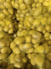 Winter potatoes on the net Plastic net on display by retail grocer, Germany