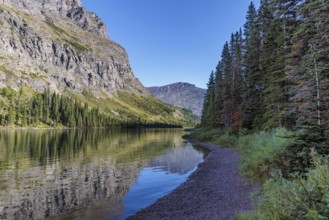 240831_124 Pine forest and rugged mountains along the shoreline of Lake Josephine in Glacier