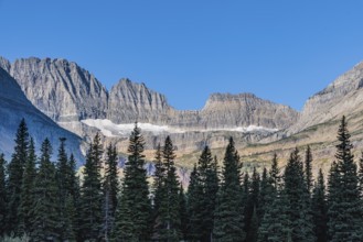 240831_117 Ice deposits in the rugged mountains behind the pine forest along the Lake Josephine