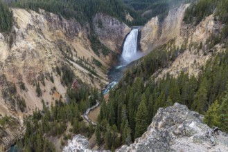 240913_029 Lower falls of the Yellowstone River in Yellowstone National Park, Wyoming, USA