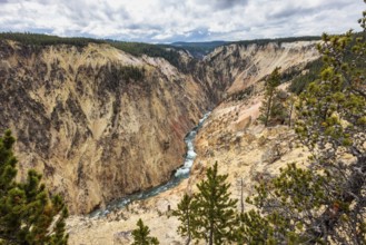 240913_059 Yellowstone River flowing through sandstone rock forming the Grand Canyon of the
