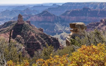 North Rim of the Grand Canyon in Northern Arizona, USA