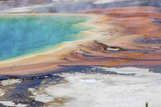 180823_028 Brown layered stratiform mats at the outer perimeter of the Grand Prismatic Spring in