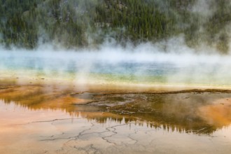 180819_366 Grand Prismatic Spring in the Midway Geyser Basin of Yellowstone National Park, Wyoming