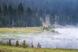 180819_001 Early morning fog rising from the Madison River along Hwy 191 near the west gate of