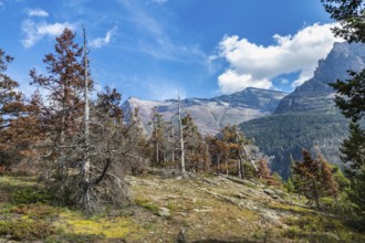 180828_195 Rugged mountains in the Two Medicine area of Glacier National Park, Montana, USA