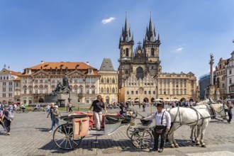 Horse-drawn carriage and Tyn church on Old Town Square in the Old Town of Prague, Prague, Czech
