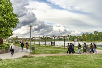 Rhein Promenade Helmut-Kohl-Ufer in Speyer, Rhineland-Palatinate, Germany