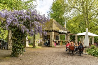 Cafe im Domgarten in Speyer, Rhineland-Palatinate, Germany