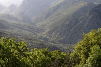 Valley in the countryside near the archaeological site of Delphi, UNESCO World Heritage Site in