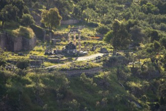 Tholos in the Sanctuary of Athena Pronaia, Archaeological Site of Delphi, UNESCO World Heritage