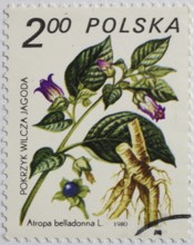 Medicinal plant as stamp motif, Atropa belladonna, belladonna, Poland