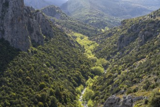 The Manikiatis River in the Manikia Gorge on the island of Euboea or Evia, Greece