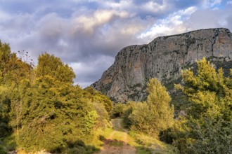 Hiking trail in the Manikia Gorge on the island of Euboea or Evia, Greece