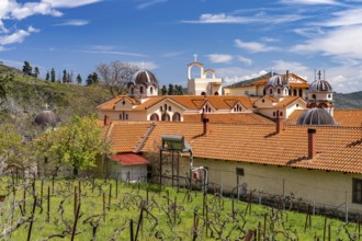 The monastery of Osios David in Drymonas, Euboea or Evia island, Greece