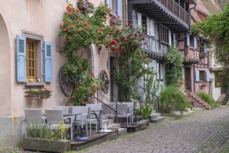 A narrow alley with a alleyway cafe, lined with traditional houses with plants and red flowers,
