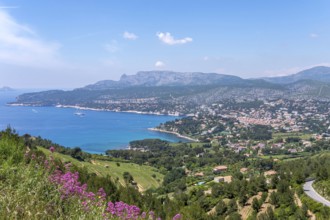 Coast and bay, cliffs, Falaises, Route de Crétes, Cassis, Provence-Alpes-Côte d'Azur, France