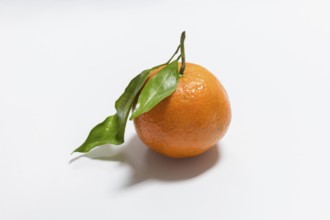 Fresh mandarin with leaf on white background