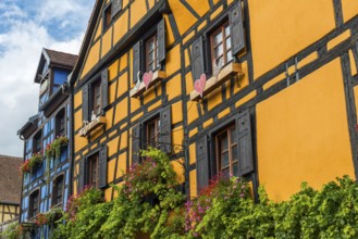 Decorated timber-frame house in the historic old town of Riquewihr, Ellsass