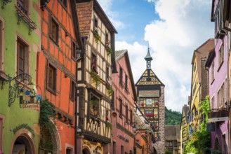Colourful half-timbered houses in the historic old town of Riquewihr, Ellsass