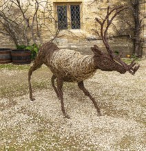 Reindeer deer stag sculpture handmade from woven wicker, Lacock, Wiltshire, England, UK by Woody