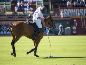 Polo player Paco de Narvaez from Team Sol de Agosto at the 132nd Argentine Open Polo Championship