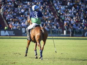 Polo player Adolfo Cambiaso from Team La Natividad La Dolfina at the 132nd Argentine Open Polo