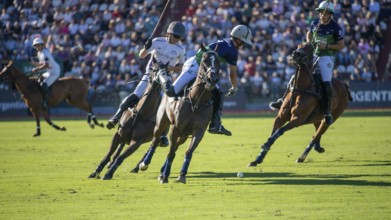 Scene at the 132nd Argentinean Open Polo Championship (Spanish 132nd Abierto Argentino de Polo de