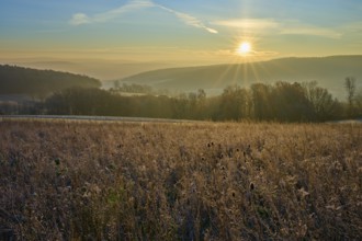 Frozen field at sunrise, bright sun over the landscape illuminating nature, Seckmauern, Lützelbach,