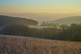 Frozen meadow in morning light with a foggy valley and rolling hills in the background, Seckmauern,