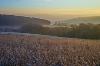 Frozen field with trees at dawn illuminated by the sun showing the silent beauty of nature,
