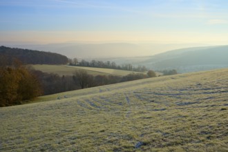 Morning fog hovers over a green, hilly landscape under clear skies, Seckmauern, Lützelbach,