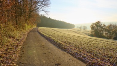 The path through a field under a clear sky in the quiet winter morning, Seckmauern, Lützelbach,
