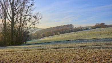 Frost on a wide field with rolling hills and morning light in the background, Seckmauern,