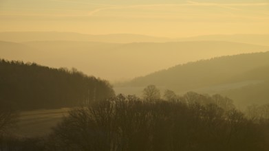 Blurred hills and trees in morning fog with a golden sky at sunrise, Seckmauern, Lützelbach,
