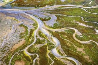 Aerial view of the Eastern Risian island of Memmert in the Lower Saxony Wadden Sea National Park,