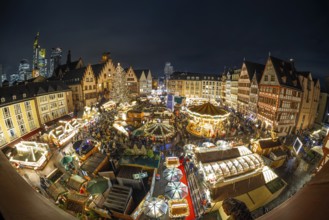 With the lighting on the Mrs. Holle Christmas tree, a 30-meter high Nordmann fir tree, the