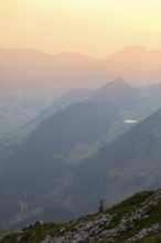 Capra ibex in front of mountain panorama at dusk, male, Alpstein, Appenzell, Switzerland