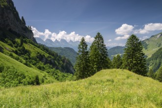 Alpine landscape in Alpstein with view of Churfirsten, Toggenburg, Canton of St. Gallen,
