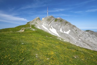 Summit of Säntis, Alpstein, Appenzell, Switzerland