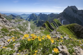 View over Alpstein Mountains into the Meglisalp Valley, Rotstein Pass, Säntis, Appenzell,