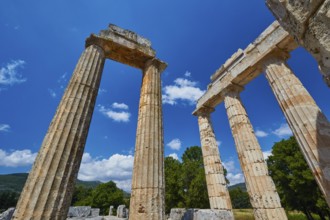 Well-preserved ancient columns in a landscape with trees, Nemea, Ancient Zeus Heightum,