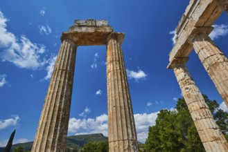 Single ancient column and ruins with clear sky, Nemea, Ancient Zeus Heightum, Archaeological Site,