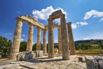 Ancient ruins and columns in a green landscape, Nemea, Ancient Zeus Church, Archaeological Site,