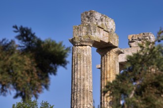 Ancient columns with trees in the foreground. Clear Sky, Nemea, Ancient Zeusheightum,