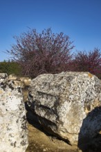 Big rock in a natural setting. Shrubs and sky, Nemea, Ancient Zeus Heightum, Archeological Site,