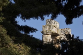 Fragment of ancient architecture surrounded by trees. Ruins Landscape, Nemea, Ancient Zeus Church,